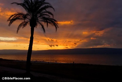 Sea of Galilee sunset, tb011212494